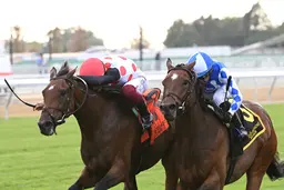 Souper Forces battles back to win Artie Shiller Stakes