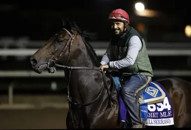 Sadler stretches out Rosa's Miracle and switches to turf