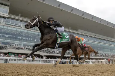 R Disaster back on her game with win in Gallant Bloom
