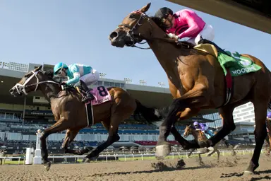 Meilani surges late to take Alywow Stakes