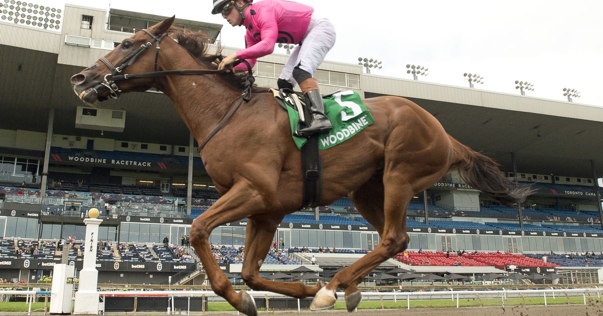 Paramount Prince leads all the way in Caledon Stakes