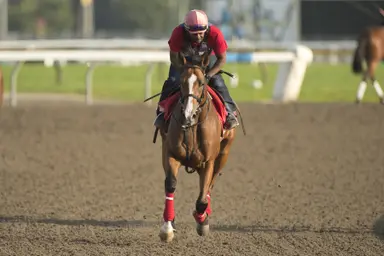 Weekend GamePlan: Picks for King's Plate, Lake Placid, Sheer Drama