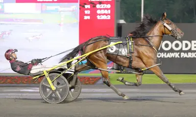 Harness: Burke trio headlines 56th Jugette field