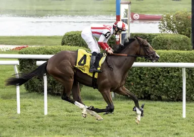 Free Look, Malleymoo sell for $550,000 to top Fasig-Tipton July horses of racing age sale