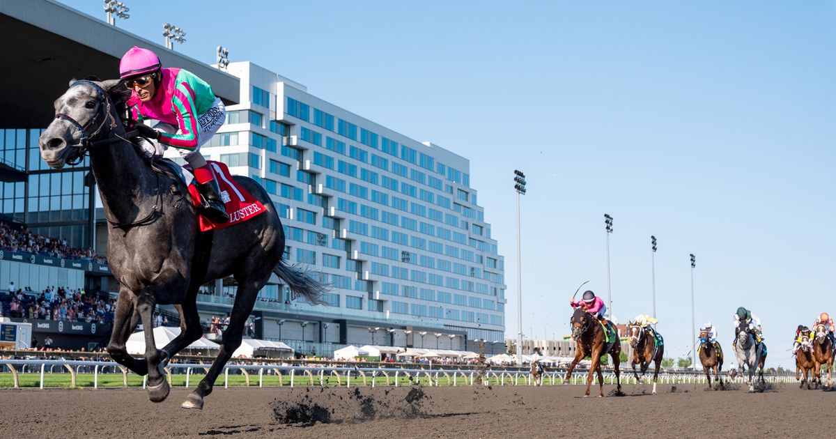 Betting on King's Plate up for race, down for overall card