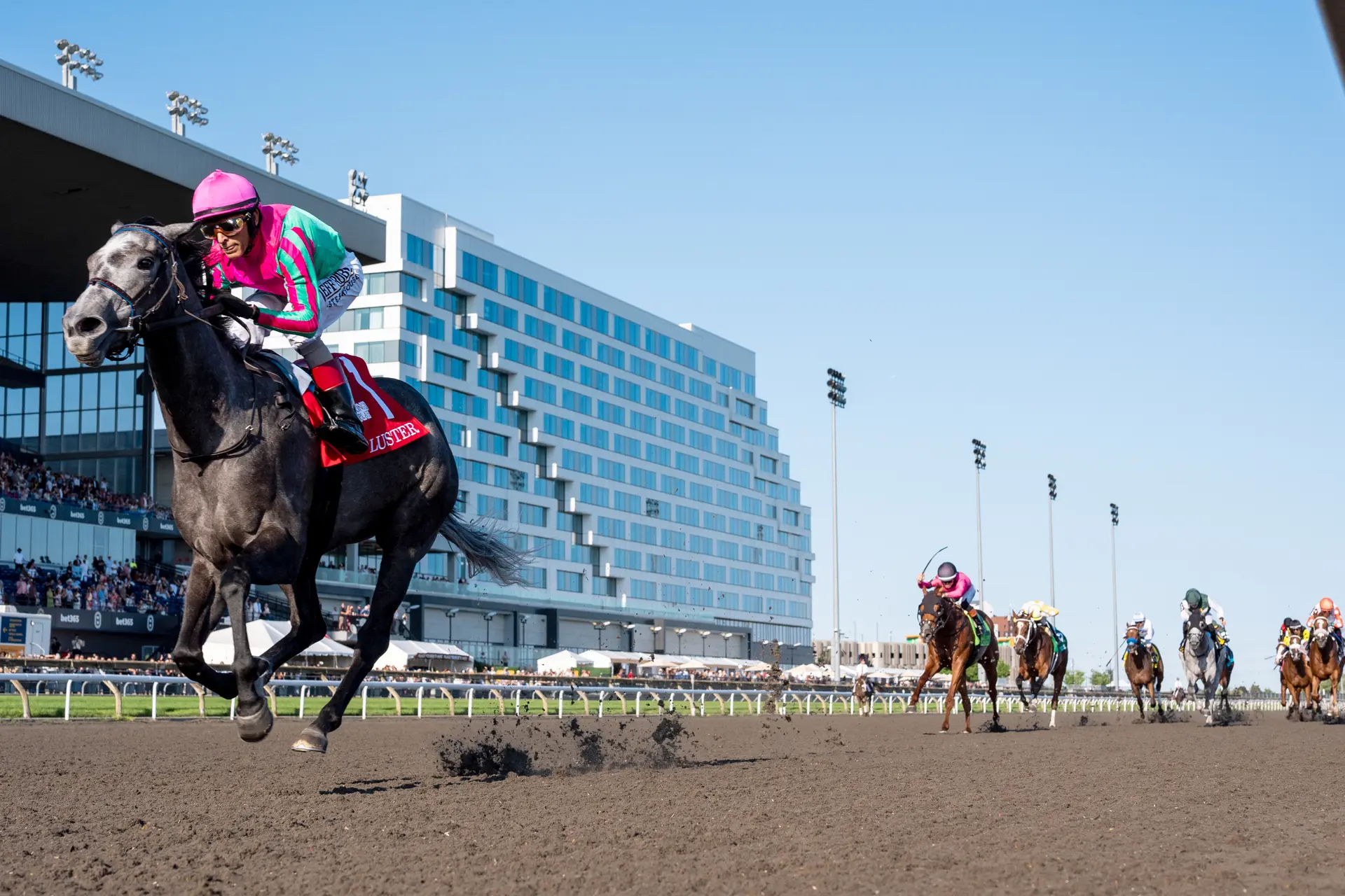 Betting on King's Plate up for race, down for overall card