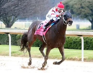 Second a year ago, Asmussen can do one better in Riyadh Dirt Sprint