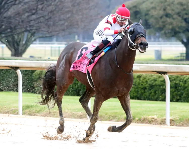Skelly wins the King Cotton at OP Feb 3 2024
