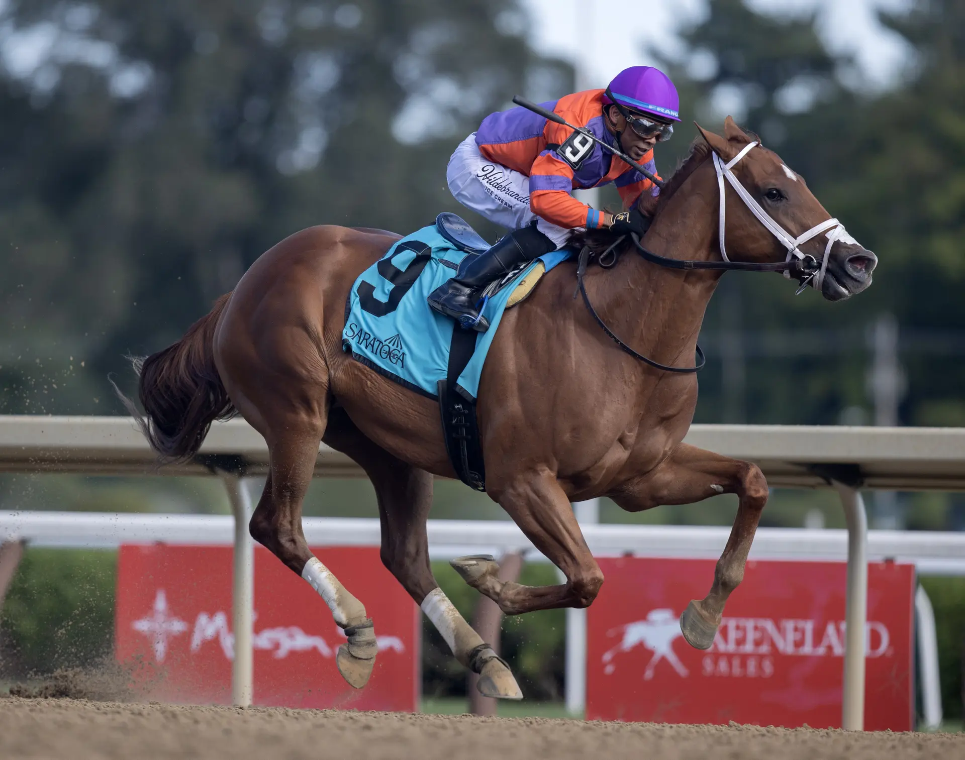 Patience paying off for Weaver with Vekinda