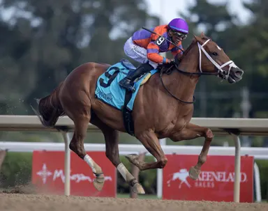 Patience paying off for Weaver with Vekinda