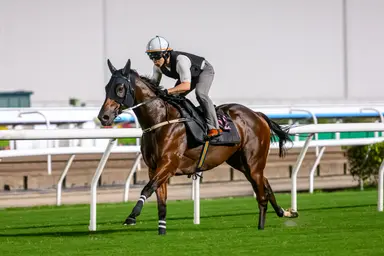 Ka Ying Rising primed for Everest mission after Sha Tin send-off