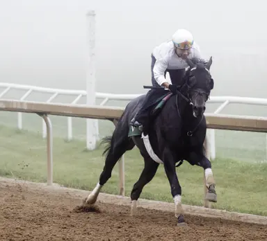Knightsbridge works toward another test in Pacific Classic