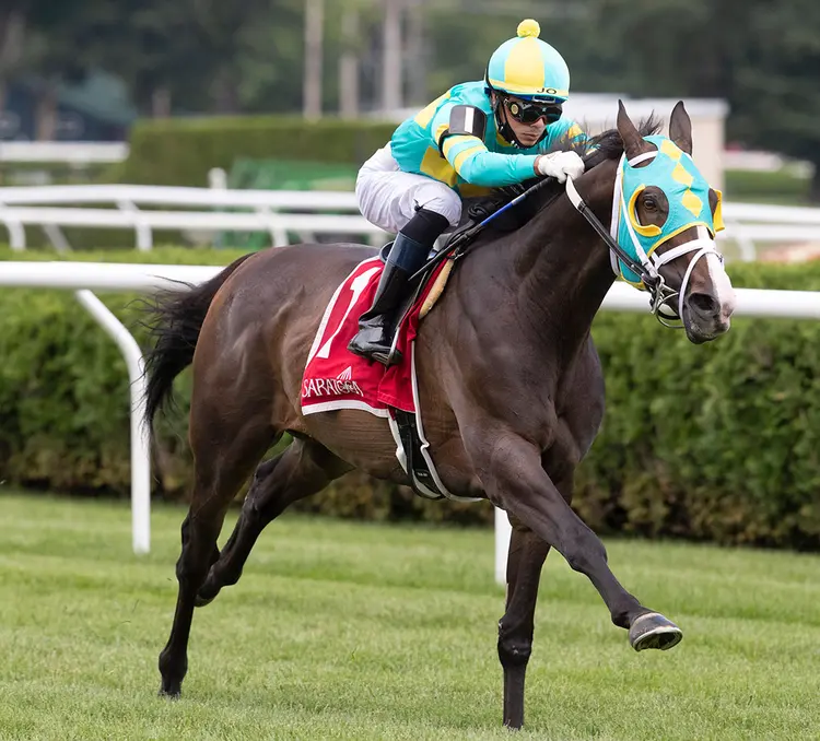 Cross Border wins the 2020 Lubash Stakes at Saratoga Race Course