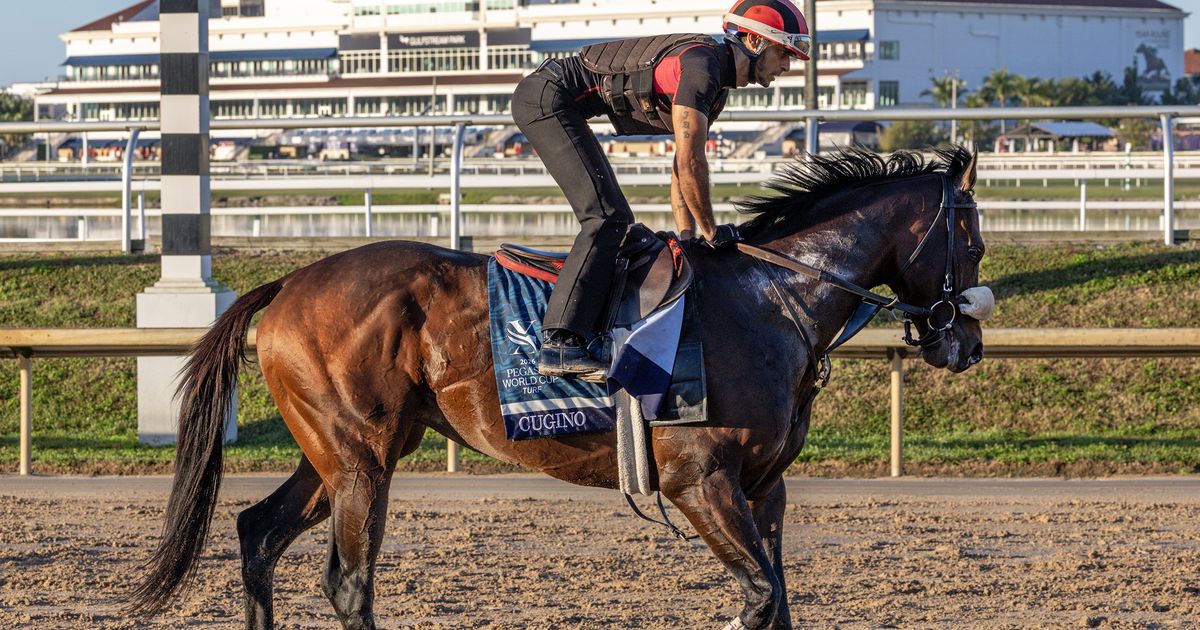 Cugino looks to fire fresh again in Knickerbocker