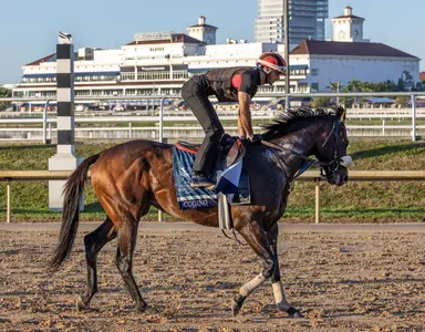 Cugino looks to fire fresh again in Knickerbocker