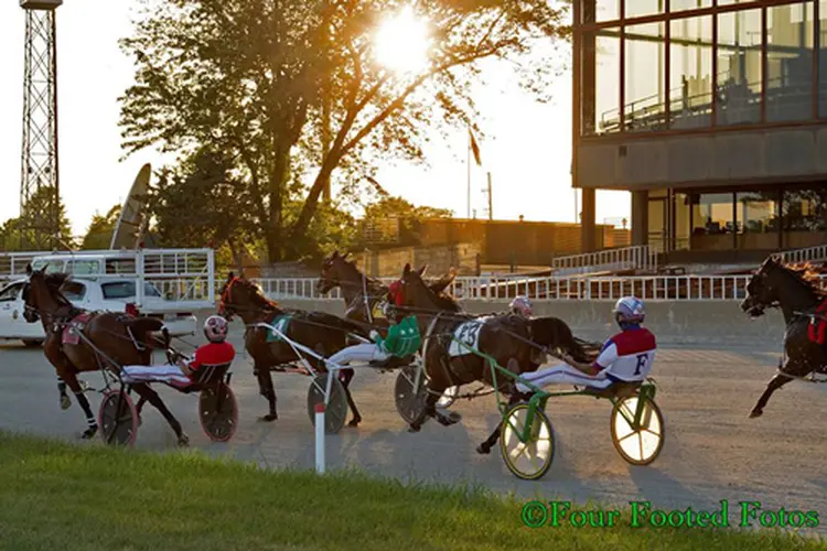 Hawthorne 2-5-26