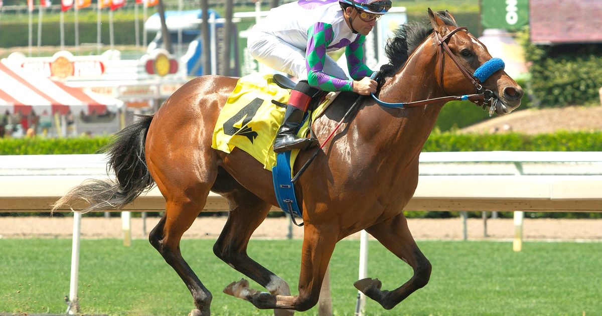 Brad Free's Del Mar Horses to Watch for the week of Aug. 6-9, 2026