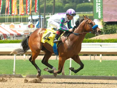 Early Encore expected to take a bow in Graduation Stakes.