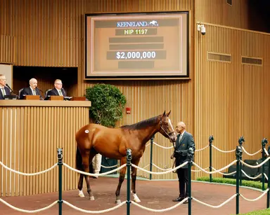 Focus shifts to regional markets after Keeneland September sale