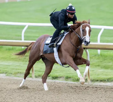 Antiquarian has Suburban up next