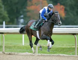 Breeders' Cup Classic: Sovereignty keeps up the work, though not particularly fast