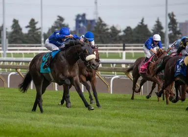 Despite stretch antics, Al Hudaiba earns Breeders' Cup berth in Summer