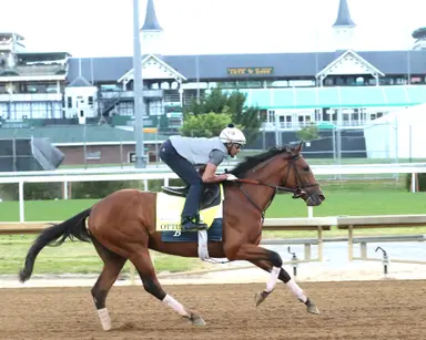 Ottinho won't go in Peter Pan or Preakness