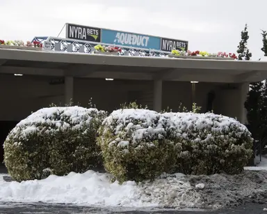 Aqueduct cancels Saturday and Sunday cards due to freezing forecast
