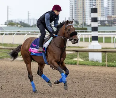 D'Amato delays Stronghold's return for one more work, easier distance
