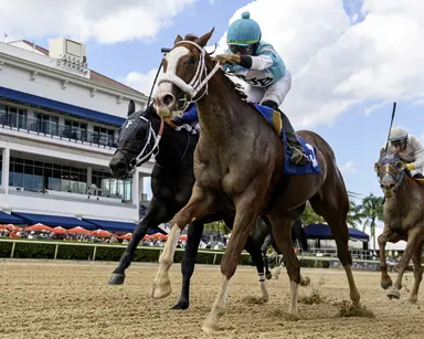 Here comes Chrome Ghost for Mr. Jordan