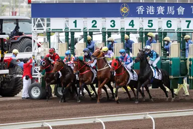 Luke Middlebrook's Hong Kong Selections and Analysis for Wednesday, March 26, 2025