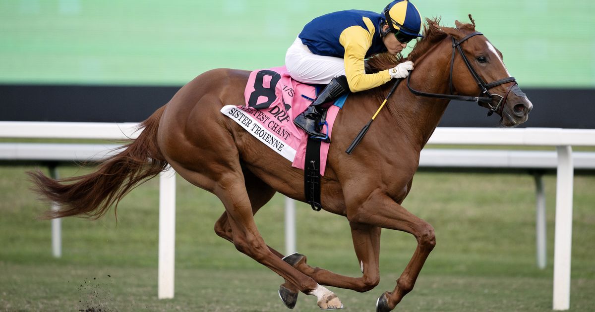 Sister Troienne heavily favored in Valley View after troubled return