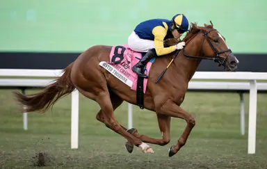 Sister Troienne heavily favored in Valley View after troubled return