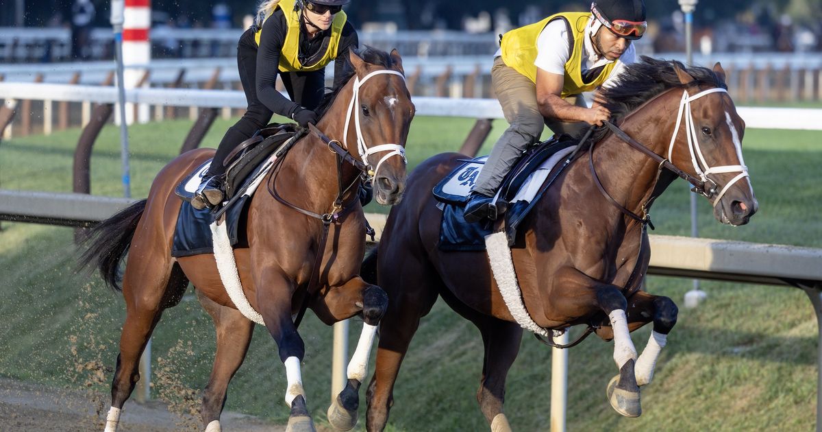 Pletcher hoping successful Travers formula translates to Renegade