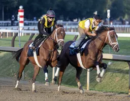 Pletcher hoping successful Travers formula translates to Renegade