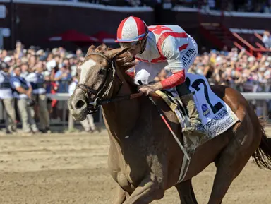 Fully Subscribed dominates Personal Engisn for first Grade 1 win