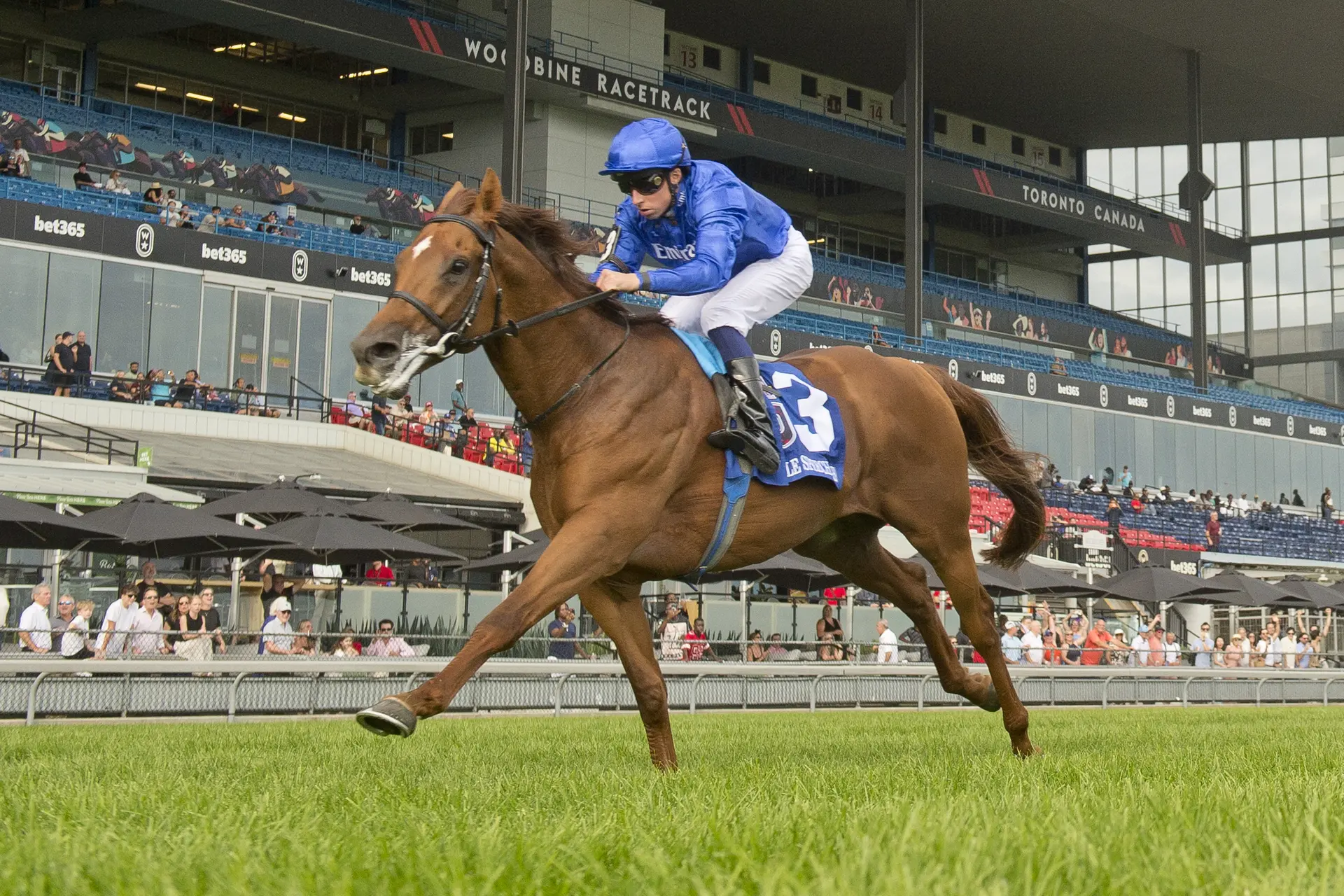 Turf Champions Day sets handle record