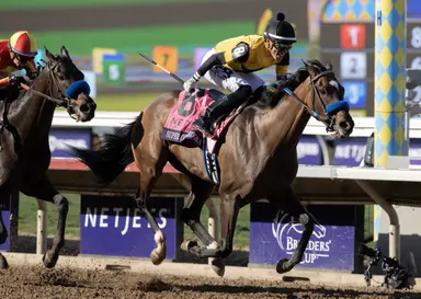 Super Corredora back in training