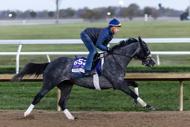 Breeders' Cup Dirt Mile: Chunk of Gold turns in nice half-mile work