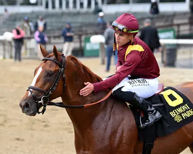King's Plate pedigree profile: Kalik