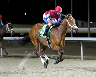 Epic Ride aims to keep rolling in Battaglia Memorial
