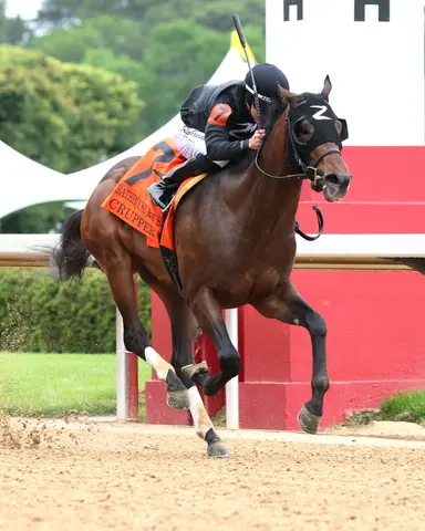 Crupper gains Preakness berth with Bathhouse Row triumph