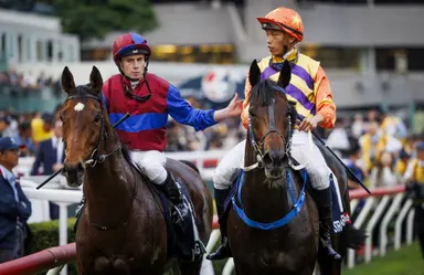 Fownes has Group 1 goals as Straight Arron maintains advance
