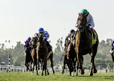 Wilshire a soft spot for Rashmi as stablemates stay away