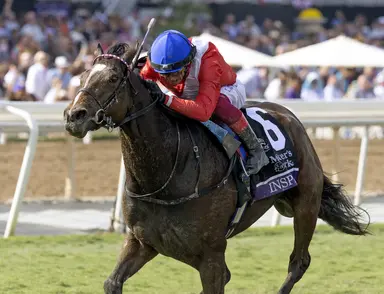 Full brothers Frankel, Noble Mission sire Breeders' Cup winners