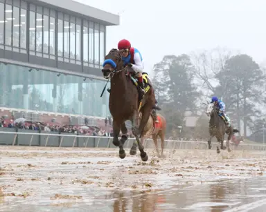 Top Line Sales riding a wave coming into OBS spring juvenile sale