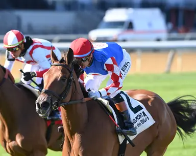 City Girl finds graded stakes-winning form in Beaugay