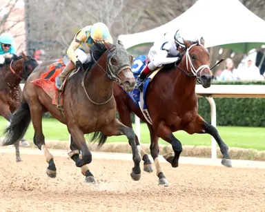 Plans for Class President up in the air; Silent Tactic to Arkansas Derby