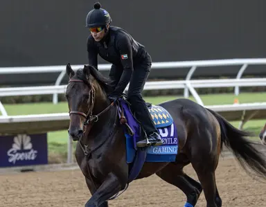 Kentucky Derby 2025: Gaming pointed to Virginia Derby