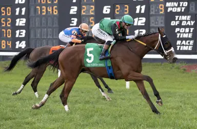 Dandona holds off Time to Dream in Florida Oaks